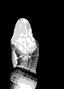 119383633s.gif